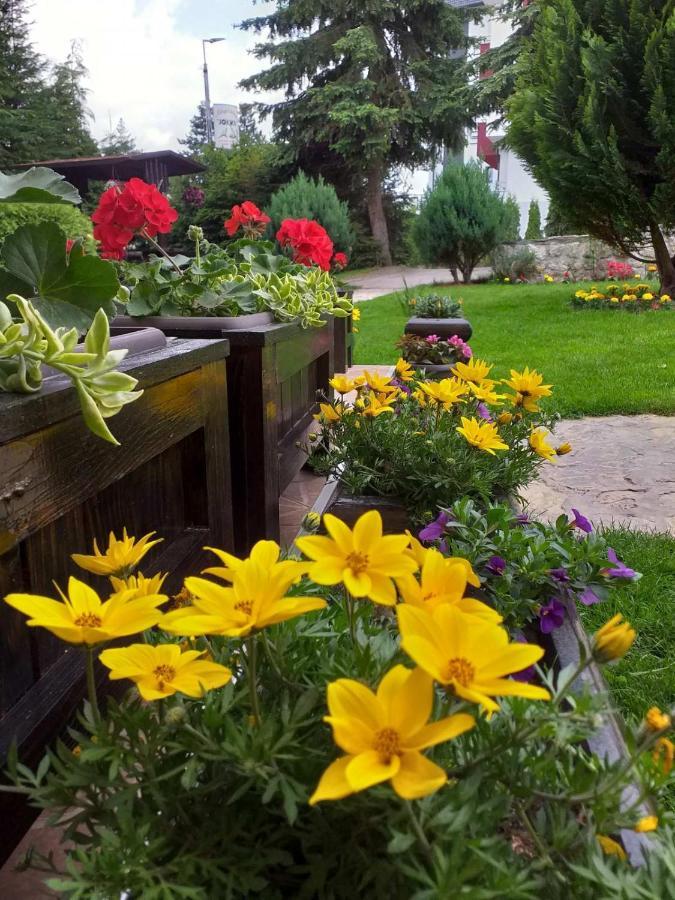 Apartmani Jokic Zlatibor Dış mekan fotoğraf